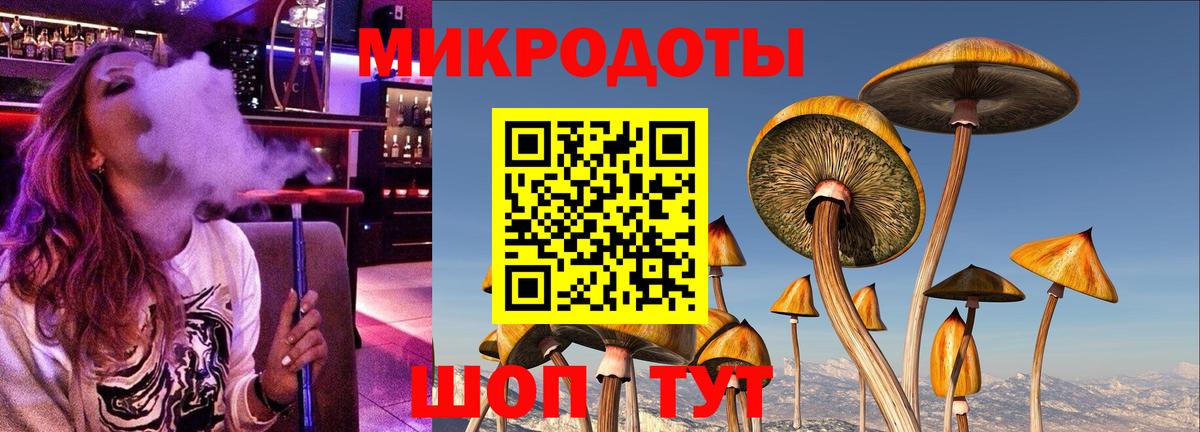 Псилоцибиновые грибы прущие грибы Томск